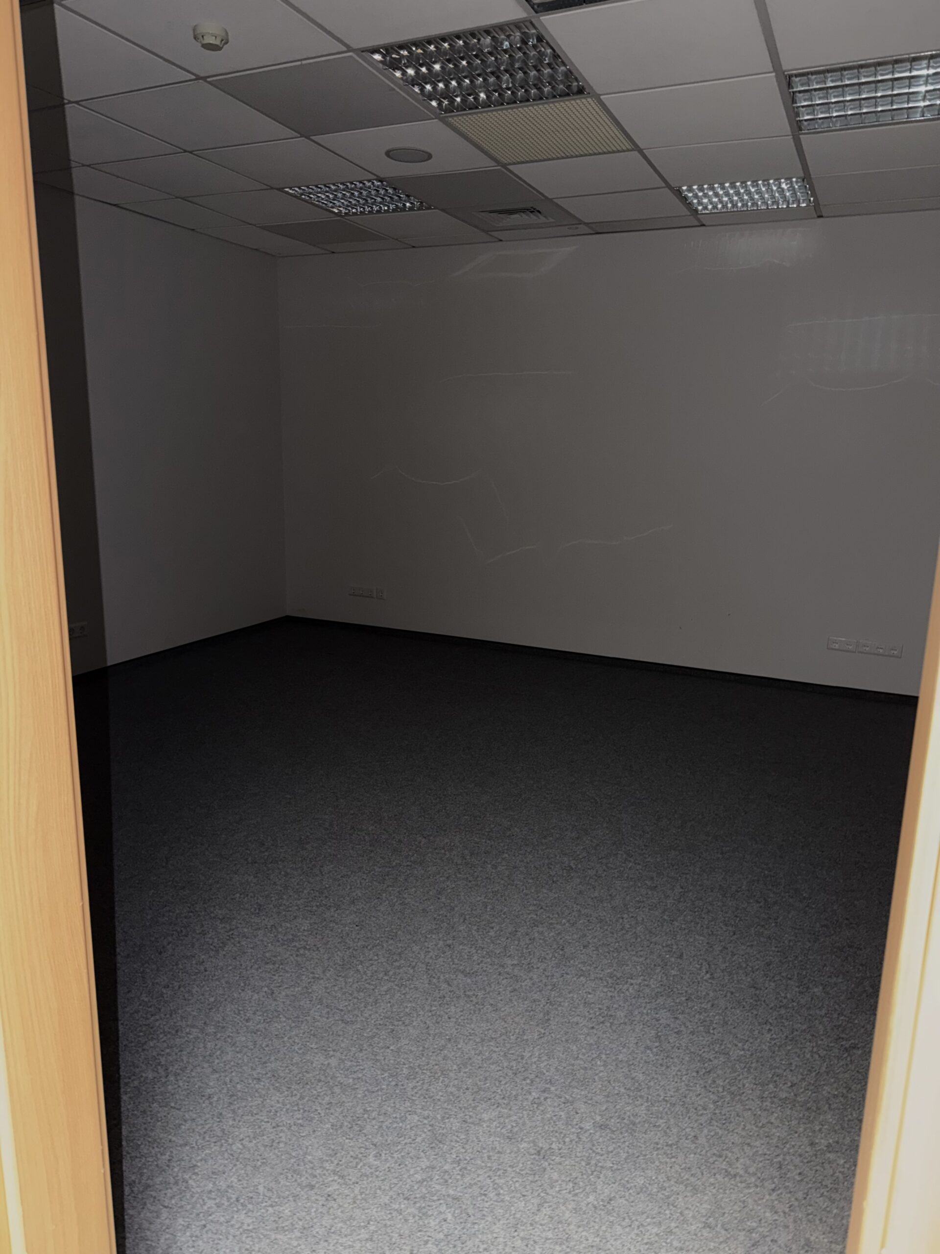 OFFICE FOR RENT, 214m² 1st FLOOR, BC IRVA 8